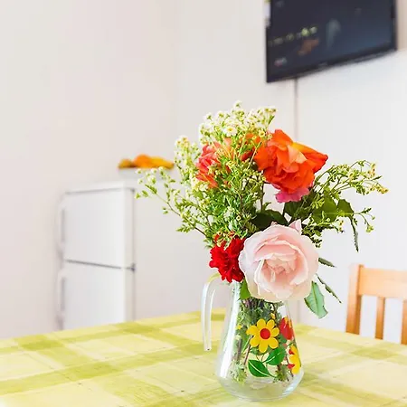 Apartamento Mladenka 20m From Marina! *