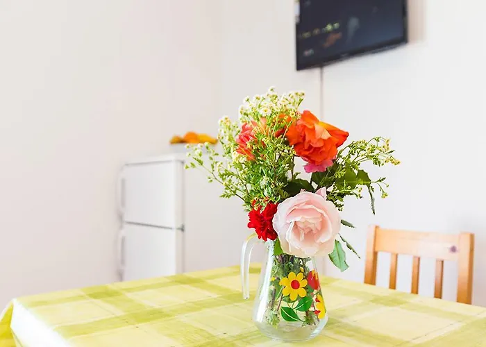 Apartman Mladenka 20m From Marina! *